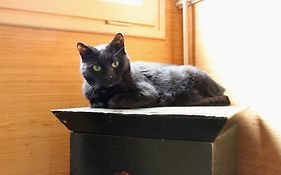 オテル ショパン